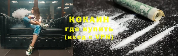 трава Аркадак