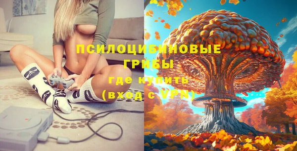 кокс Армянск