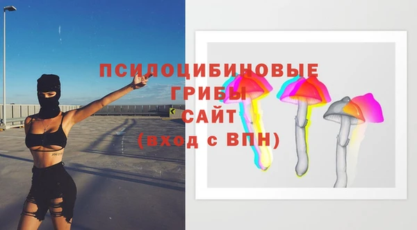 трава Аркадак