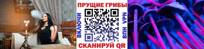 Галлюциногенные грибы Magic Shrooms  как найти закладки  Димитровград 